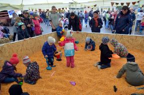 Дети в кукурузном бассейне