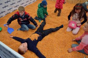 Дети в кукурузном бассейне