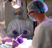 Training of health workers