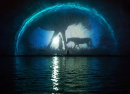 The fountain "Roshen"