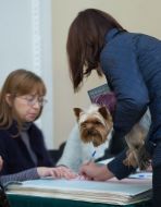 Voting in local elections in 2015 in Kiev