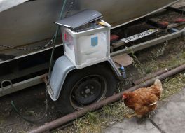 Voting in local elections in 2015 in Kiev