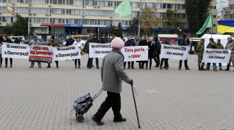 Participants of the action