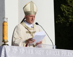 Mieczyslaw Mokshitsky