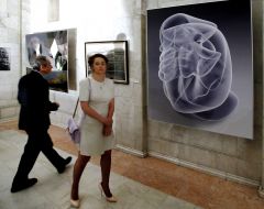 The exhibition "Goal Goal"