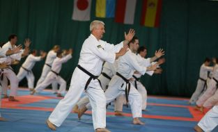 The participants of the seminar on Aikido Yoshinkan