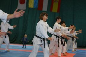 The participants of the seminar on Aikido Yoshinkan