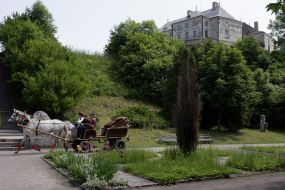Олеський замок