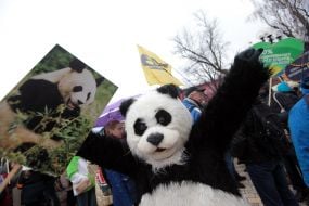 Участники климатического марша