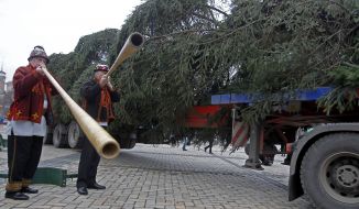 Christmas tree on Sofiyskaya square 