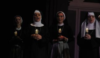 Presentation of the musical "The Sound of Music"