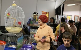 Exhibition "Baby World 2015"