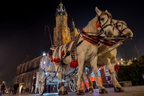 Carriages with horses