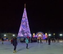 Christmas tree at ENEA