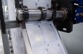 Forms of new passports