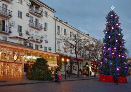 Новогодняя елка