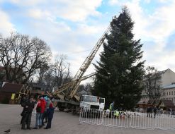 Встановлення новорічної ялинки
