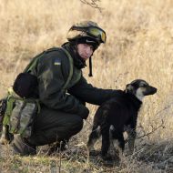 Тактичні навчання