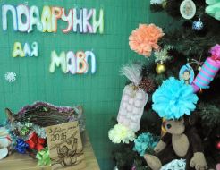 Near the winter enclosure for primates