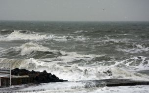 Storm sea in Odessa