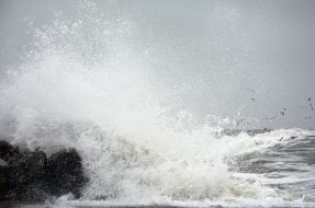 Storm sea in Odessa