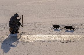 Cats near Fisherman