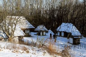 Holiday "Christmas Guy"