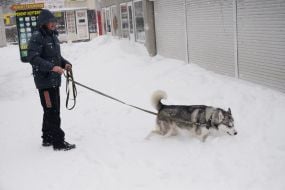 Снег в Одессе