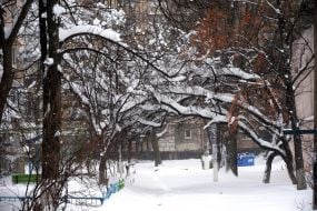 Снег в Одессе