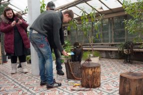 The monkey named Chip