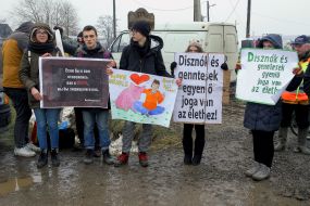 Зоозащитники держат плакаты