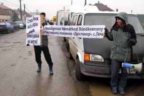 Зоозащитники держат плакаты