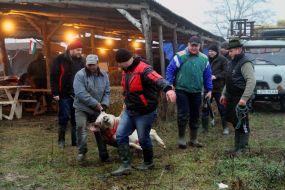 Фестиваль мясников