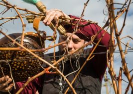 The celebration of St. Tryphon Zarezan day