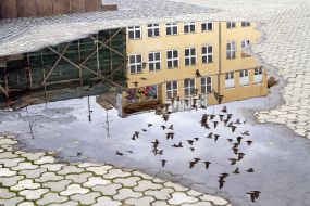 Отражение в луже