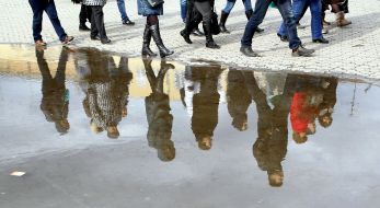 Отражение в луже