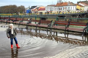 Ребенок стоит в луже