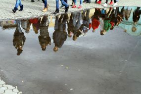 Отражение в луже