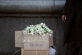 Мужчина продает подснежники