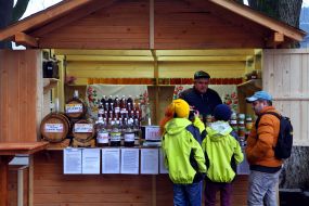 Festival-Fair "Medovukha Fest"