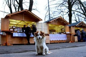 Festival-Fair "Medovukha Fest"