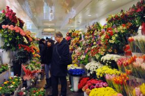 Flower trade