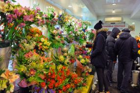 Flower trade
