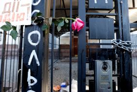 The action "Freedom for Nadezhda"