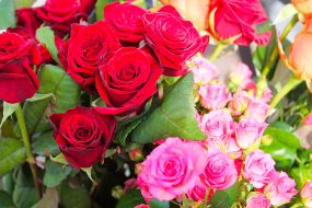 Roses