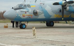 The plane AN-26 "Vezunchik"