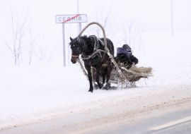 A man rides a sleigh