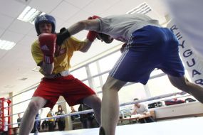 Open training of National team of Ukraine on boxing
