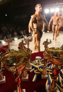 Соревнования культуристов (бодибилдеров)