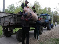 Cleanup in one of the parks in Kiev